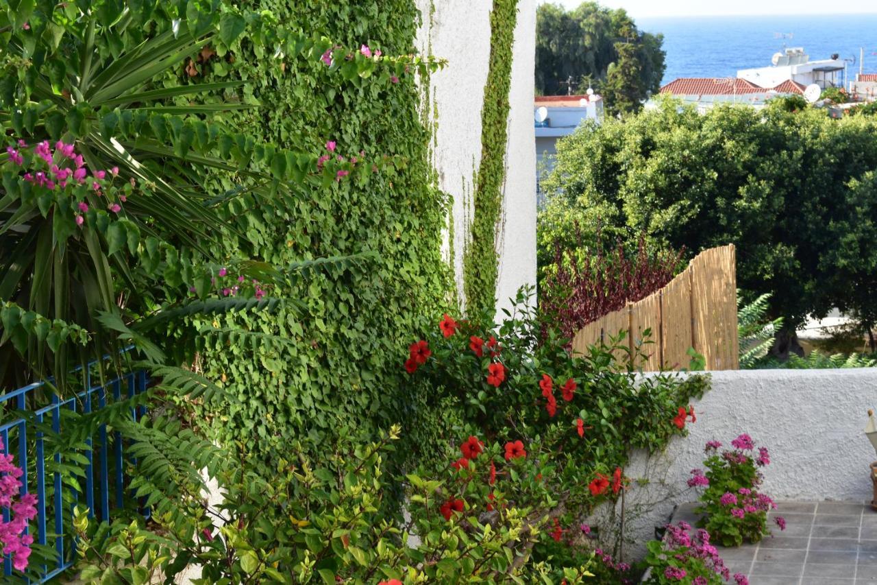 Kasteli Studios & Apartments Pánormos Екстериор снимка